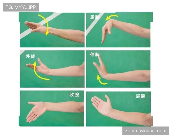 篮球发球规则详解：从底线发球到边线发球的完整流程与要求